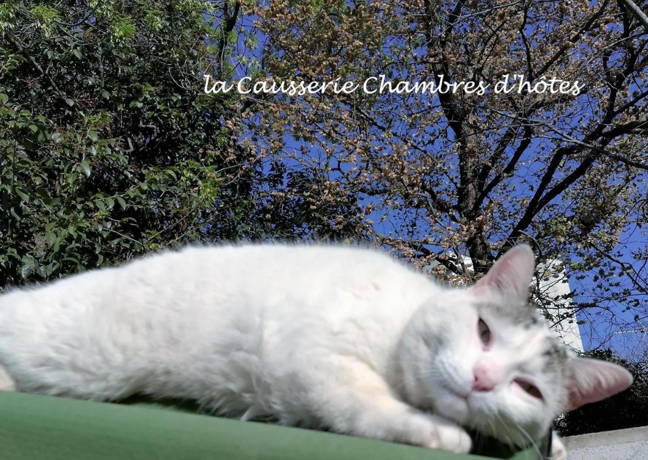 La Causserie, 2 Chambres D'Hotes, 2 A 4 Invites, Pour Vous Seuls Грама Экстерьер фото